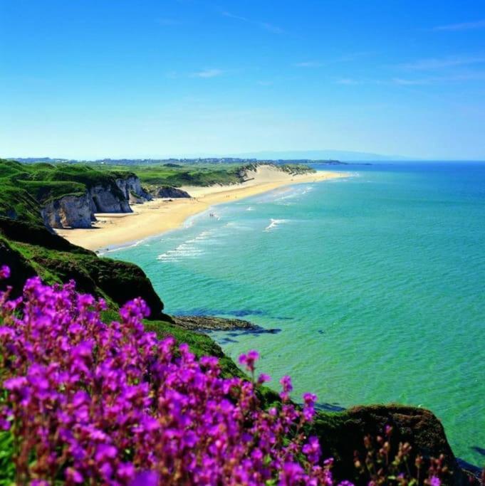 Copperpot 2025 Now Holiday home Portrush